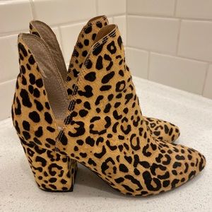 Steve Madden leopard ankle boots